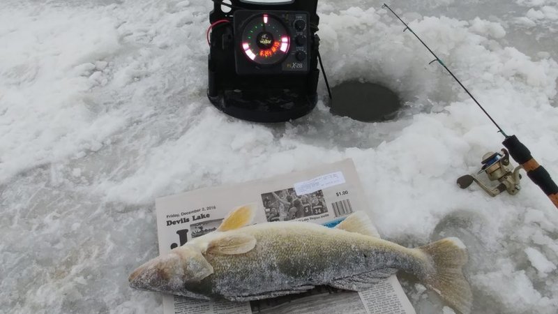 Eiskalter Einsatz: Erfolgreiches Ice Fishing in Deutschland und Online Casinos